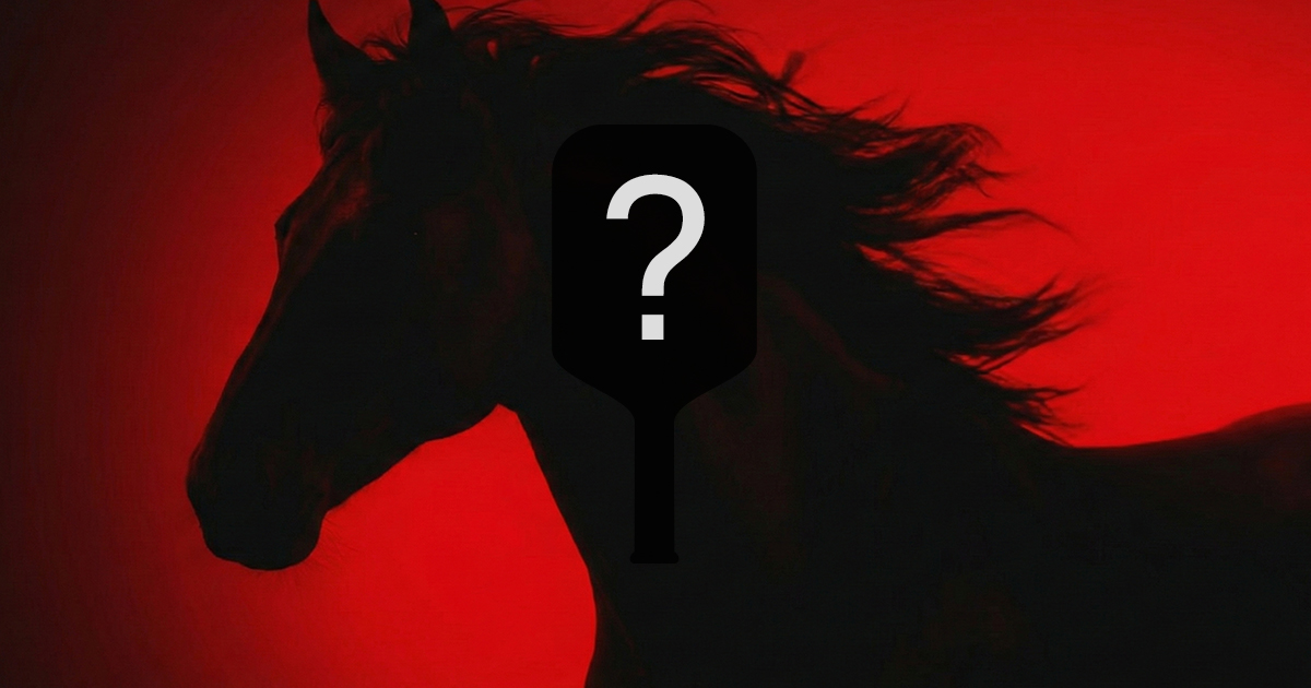 The “Year of the Horse” Pickleball Paddles We Can’t Touch